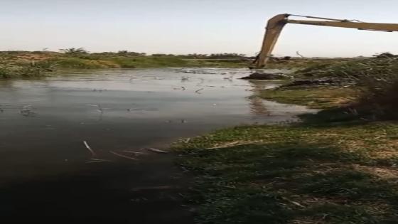 الموارد المائية تواصل أعمال التنظيف لشبكة المبازل في المحافظة