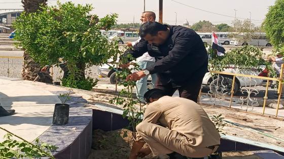 انطلاق حملة واسعة لتشجير مرآب النقل في محافظة النجف الاشرف