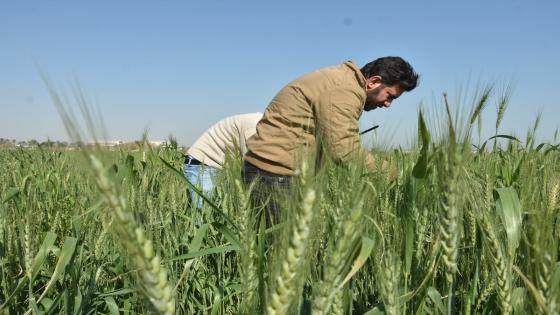 وفد من قسم وقاية المزروعات يزور مركز الطائرات المسيرة