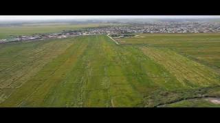 نجاح الموسم الزراعي الصيفي لمحصول الرز (الشلب) في محافظة النجف الأشرف