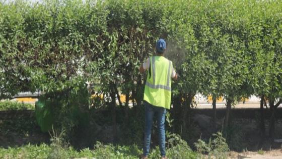 ضمن نشاطات بلدية النجف الاشرف ..