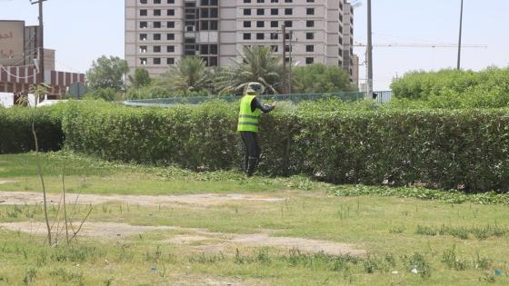 شعبة الحدائق والمتنزهات تواصل اعمالها اليومية في المحافطة
