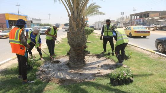 شعبة الحدائق والمتنزهات تواصل اعمالها اليومية في المحافطة