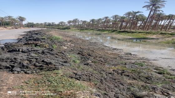 الموارد المائية تواصل اعمال التطهيرات للانهر في المحافظة.