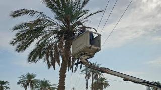 ملاكات فرع توزيع كهرباء النجف الاشرف الاستمرار بأعمال فك الإختناقات والصيانة المبرمجة لرفع مستوى أداء الشبكة الكهربائية إستعداداً لفصل الشتاء