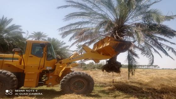 مدير الموارد المائية يتابع ميدانيا حملة رفع التجاوزات عن محرمات الانهر في قضاء المشخاب.