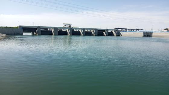 الموارد المائية تواصل اعمال أزالة نبات زهرة النيل من حوض نهر الفرات في المحافظة.