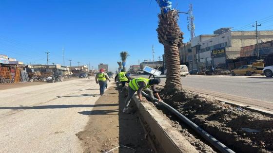 بلدية النجف: الحدائق والمتنزهات تباشر بمد شبكة سقي للجزرة الوسطية لشارع مكتب الرشيد