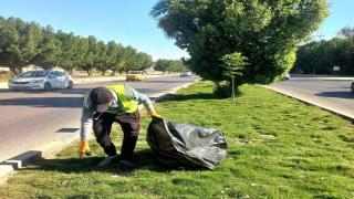 بلدية النجف: إدامة المساحات الخضراء والحدائق العامة